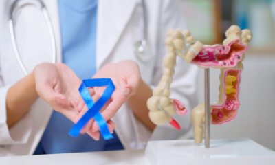 Close-up of hands holding a blue ribbon next to a plastic model of a colon