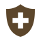 An illustration in brown of a shield with a medical cross embedded within