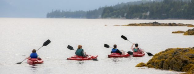 Four kayakers paddling around rocks in open water. Forested areas in the backgound